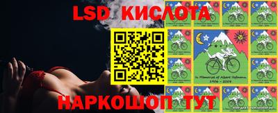 тгк Кингисепп