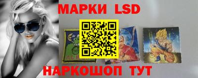 тгк Кингисепп