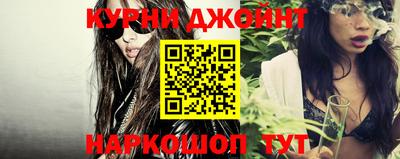 тгк Кингисепп