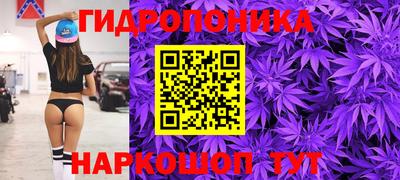 тгк Кингисепп