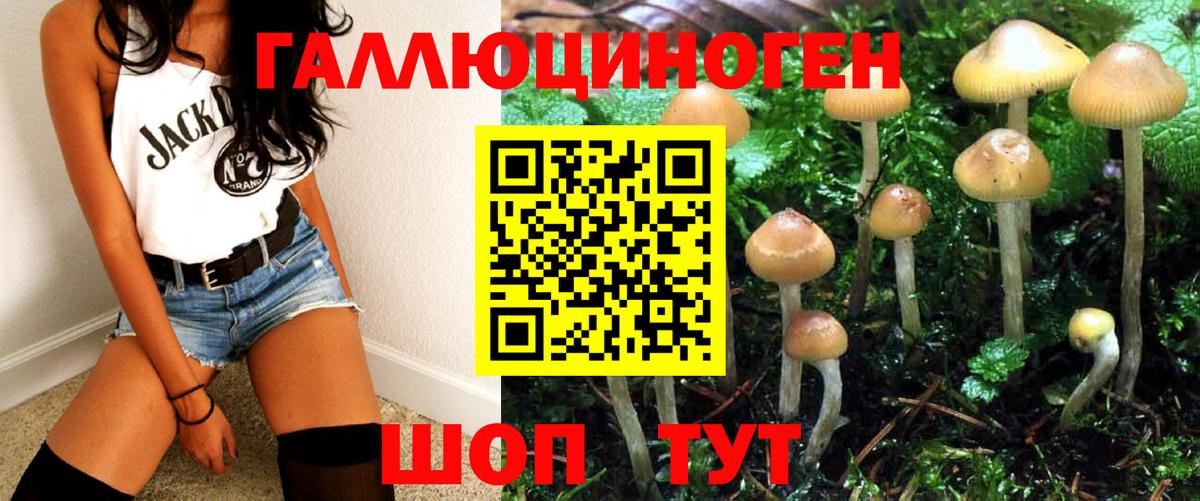 Геленджик  Псилоцибиновые грибы GOLDEN TEACHER  Вход с VPN  закладки  Псилоцибиновые грибы GOLDEN TEACHER 